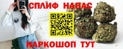 стаф Гай