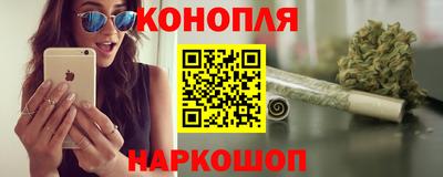стаф Гай