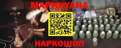 стаф Гай