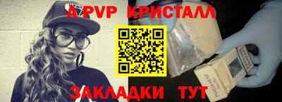стаф Гай