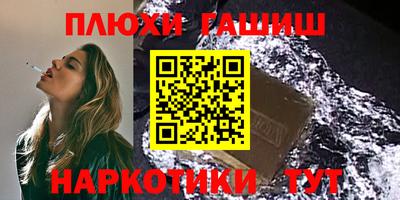 стаф Гай